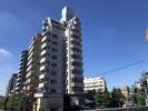 ライオンズプラザ白山の間取り画像