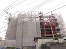 HALEKULANIの間取り画像