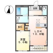 コイトハイツの間取り画像