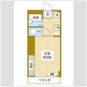トーシンハイツ堀江の間取り画像