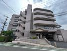 ダイアパレス上福岡Ⅲの間取り画像