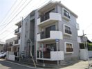 シャトー藤崎南の間取り画像