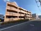 アレキサンドリアの間取り画像