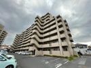 サーパス西津田Ⅱの間取り画像