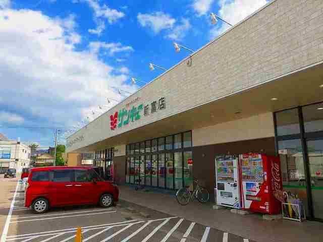 サンキュー新富店まで900m