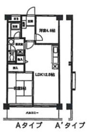 森田マンション1号棟の間取り画像