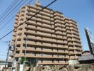 ライオンズマンション府中の間取り画像