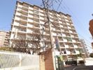 大産桜坂マンションの間取り画像