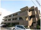サンハイク7東小金井の間取り画像