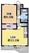 泰平第1ビルの間取り画像