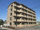 高御所ロイヤルマンションの間取り画像