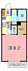 フューチャー江並の間取り画像
