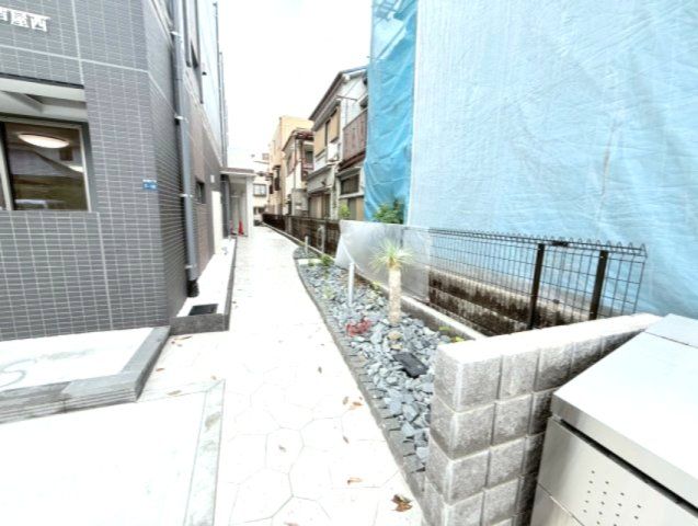 庭