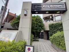 ライオンズシティの外観画像