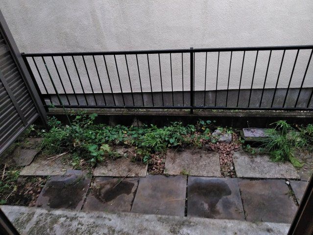 庭