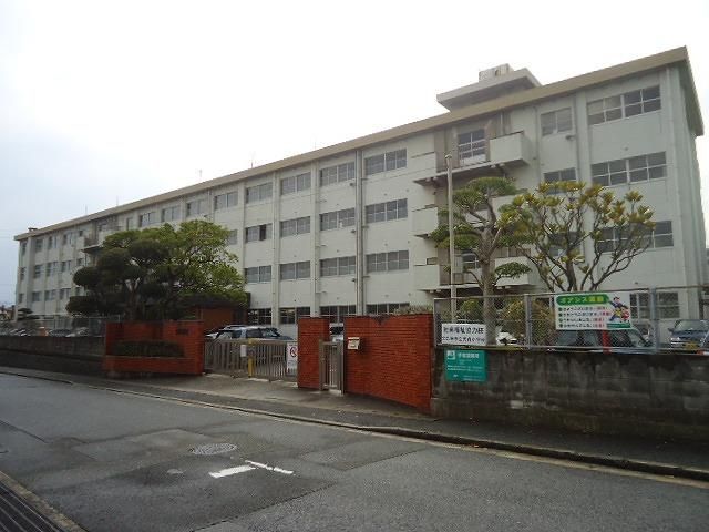 光貞小学校(240m)