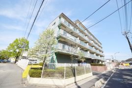 浦和エメラルドグリーンの外観画像