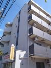 スプリングストーンMの間取り画像