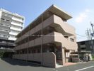 ソレイユ武蔵ヶ丘の間取り画像