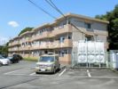 エタニティーIIの間取り画像