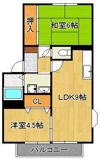 ソレジオ井堀の間取り画像