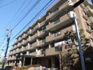 朝日クレス・パリオ護国寺の間取り画像