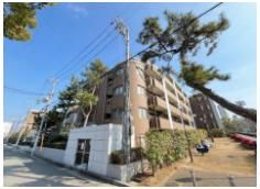 セレッソコート芦屋中央公園の外観画像
