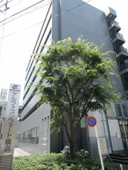 アルファコンフォート横浜の外観画像