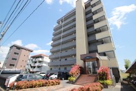 フレーバーの外観画像