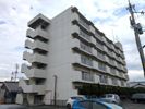 コスモ新川の間取り画像