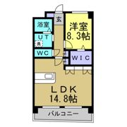 アメジスト・セラの間取り画像