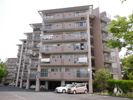 紅梅台ハイツ1号棟 701号室の間取り画像