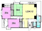 ダブルハイツインサクラメントの間取り画像