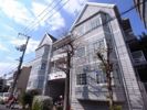 MAPLECOURTの間取り画像