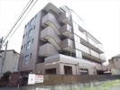 プレジール大橋の間取り画像