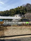 ロイス・ルーエの間取り画像