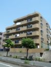 サンモール中川の間取り画像