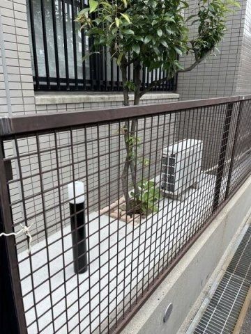 庭
