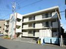 松原マンションの間取り画像