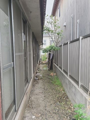 庭