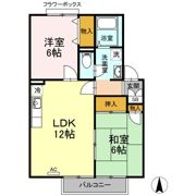 ホワイトビューラーの間取り画像
