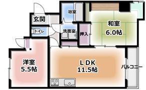 カルチェ・ダムールC棟の間取り画像