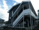 メゾンアルファの間取り画像