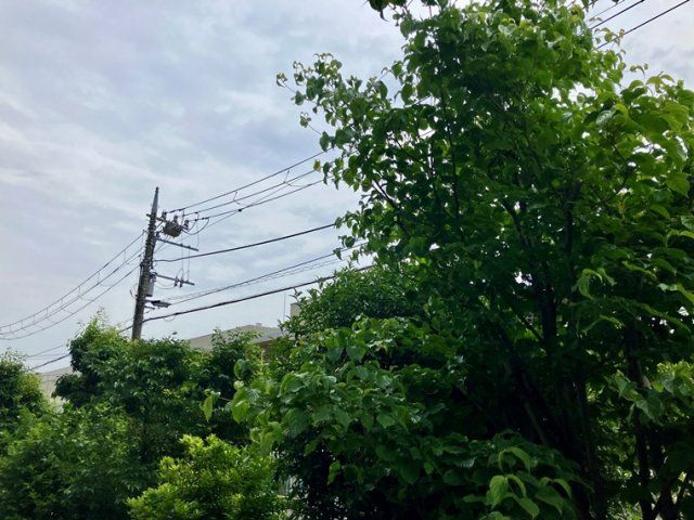 眺望