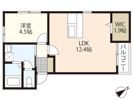 リノリノアパートメント観音新町の間取り画像