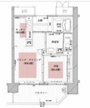 ザ・レジデンス白金スイートの間取り画像
