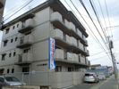 ハイネス那珂川の外観