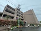 キャメロット上永谷の間取り画像