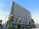 U COURT 西新井の間取り画像