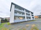 葛原東ハイツの間取り画像